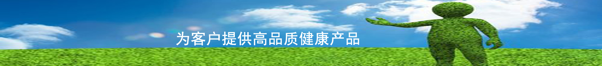 技術服務